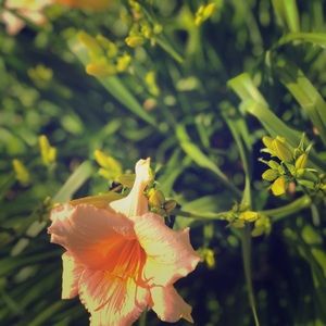 Meet your Posher, Autumn